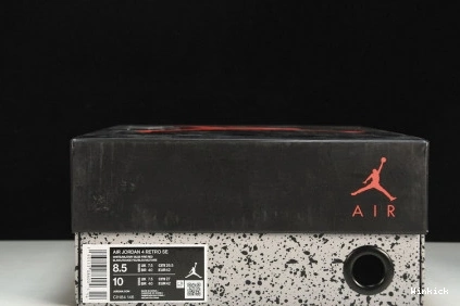 4' 'WHAT THE JORDAN RETRO AIR CI1184-146 SE 4 0708